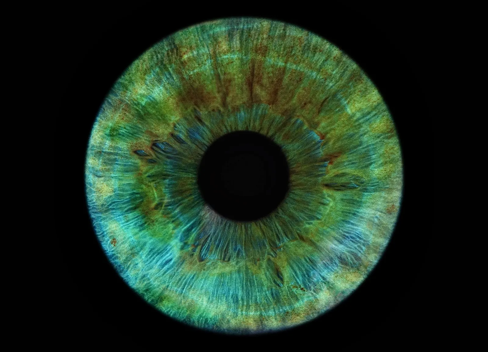 A luminous human iris representing personal bio-intelligence